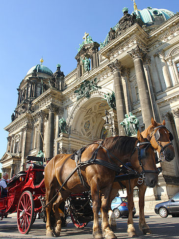 Pferdekutsche vor dem Berliner Dom Foto 