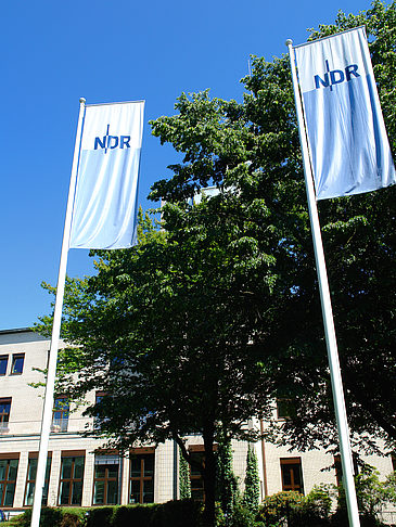 NDR