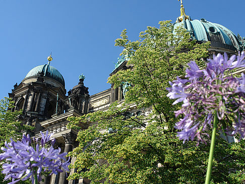 Berliner Dom mit Lustgarten