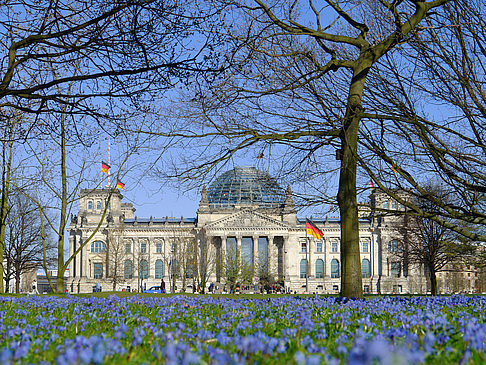 Fotos Blumenwiese am Reichstag | Berlin