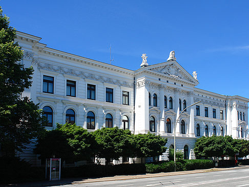 Foto Rathaus von Altona