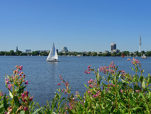 Segeln auf der Außenalster Foto 