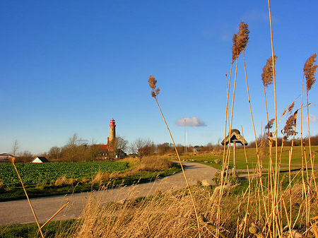 Foto Turm aus der Ferne