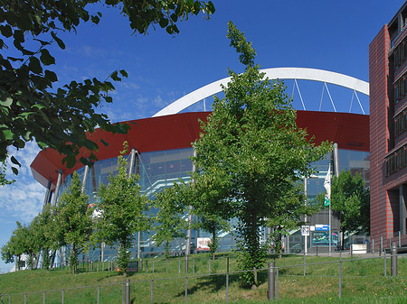 Kölnarena auf einer Wiese Foto 