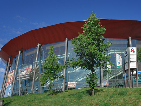 Kölnarena auf einer Wiese