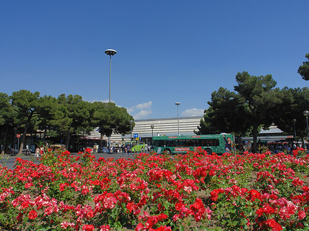 Foto Blumen am Bahnhof - Rom