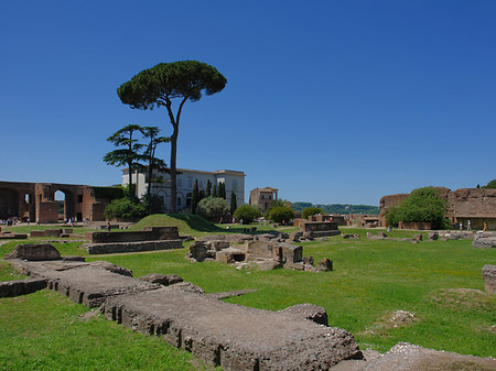 Domus Augustana und das Museo Palatino