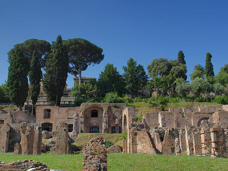 Forum Romanum Foto 