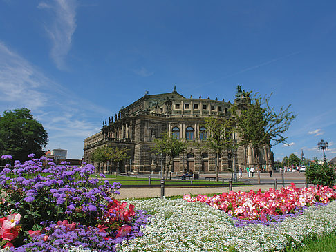 Semperoper mit Blumen