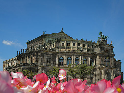 Fotos Semperoper mit Blumen