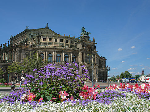 Semperoper mit Blumen