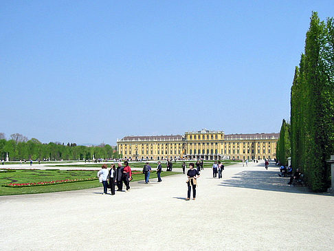 Fotos Schlossgarten des Schloss Schönbrunn | Wien